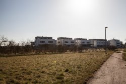 Am Alten Sportplatz Baugebiet B